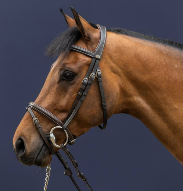 Dy'on Flash Noseband Bridle Working Collection