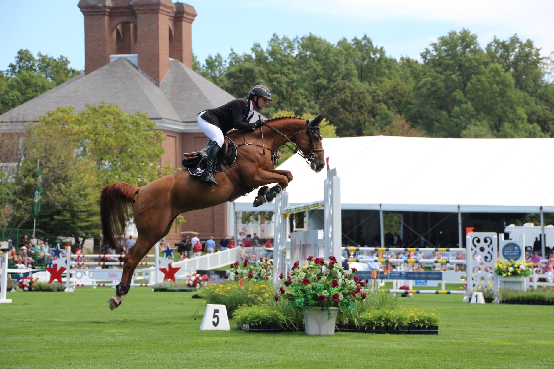 an equestrian jumping a horse over an oxer